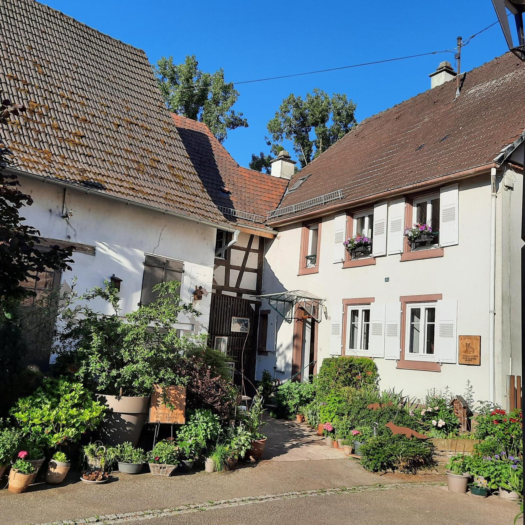 La Renardiere Reichshoffen Buitenkant foto